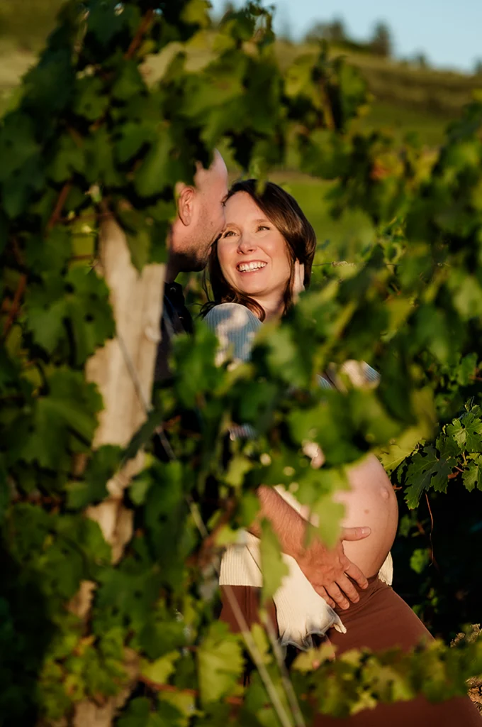 maternity tra le vigne